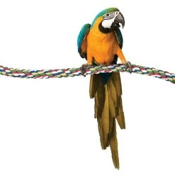 Booda Large Comfy Bird Perch -Cheap Petmate Store 102091 PT2. SY630 V1477925061