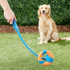 Chuckit! Ultra Ring Launcher Fetch Dog Toy -Cheap Petmate Store 145393 PT2. SY630 V1550270847