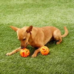 Chuckit! Air Fetch Ball 2-Pack Dog Toy -Cheap Petmate Store 145397 PT3. SY630 V1545251861