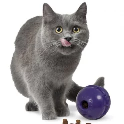 Petmate Double Treat Dispenser Ball Cat Toy -Cheap Petmate Store 175120 PT2. SY630 V1562177581