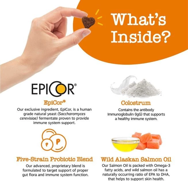 Zesty Paws||Chuckit! Zesty Paws Aller-Immune Lamb Flavored Soft Chews Allergy & Immune Supplement for Dogs + Chuckit! Ultra Rubber Ball Tough Toy 6 Zesty Paws||Chuckit! Zesty Paws Aller-Immune Lamb Flavored Soft Chews Allergy & Immune Supplement for Dogs + Chuckit! Ultra Rubber Ball Tough Toy - Image 4