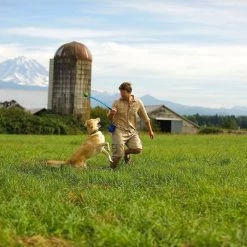 Chuckit! Classic Launcher Dog Toy, Color Varies -Cheap Petmate Store 53211 PT2. SY630 V1534454668