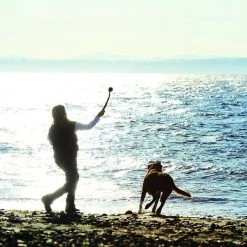 Chuckit! Classic Launcher Dog Toy, Color Varies -Cheap Petmate Store 53211 PT4. SY630 V1534454670