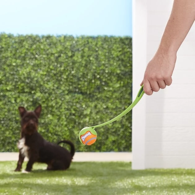 Chuckit! Sport Launcher Dog Toy, Color Varies 5 Chuckit! Sport Launcher Dog Toy, Color Varies - Image 3