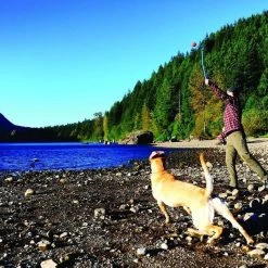 Chuckit! Sport Launcher Dog Toy, Color Varies 13 Chuckit! Sport Launcher Dog Toy, Color Varies -Cheap Petmate Store 53225 PT3. SY630 V1531444936