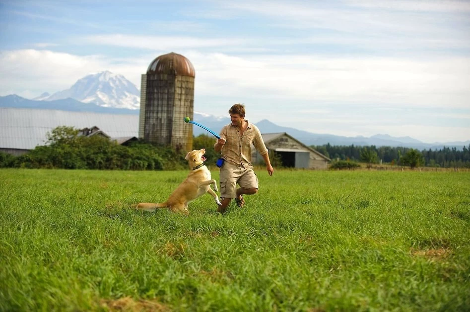 Chuckit! Sport Launcher Dog Toy, Color Varies 8 Chuckit! Sport Launcher Dog Toy, Color Varies - Image 6