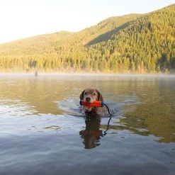 Chuckit! Amphibious Bumper Dog Toy, Color Varies -Cheap Petmate Store 53242 PT2. SY630 V1534449135