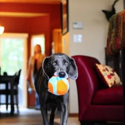 Chuckit! Indoor Ball Dog Toy -Cheap Petmate Store 53245 PT2. SY630 V1602306959