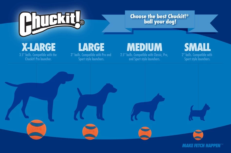 Chuckit! Fetch Ball Dog Toy, Color Varies 6 Chuckit! Fetch Ball Dog Toy, Color Varies - Image 4