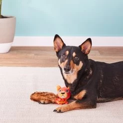 JW Pet Crackle Heads Skippy the Squirrel Dog Toy 9 JW Pet Crackle Heads Skippy the Squirrel Dog Toy -Cheap Petmate Store 53335 PT3. SY630 V1530909935