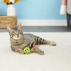 JW Pet Cataction Feather Ball with Bell Cat Toy -Cheap Petmate Store 53412 PT7. SY630 V1526316604