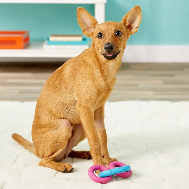 JW Pet Invincible Chains Triple Dog Toy, Color Varies 4 JW Pet Invincible Chains Triple Dog Toy, Color Varies - Image 2