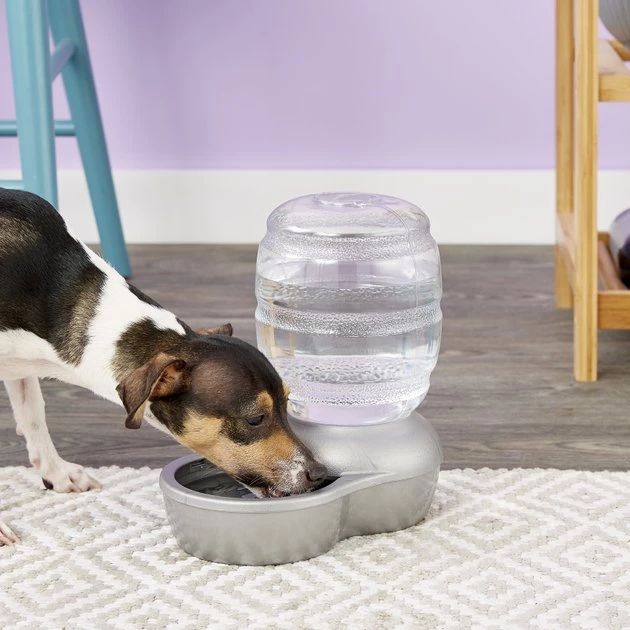 Petmate Pearl Replendish Waterer with Microban 4 Petmate Pearl Replendish Waterer with Microban - Image 2