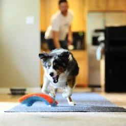 Chuckit! Indoor Flying Squirrel Dog Toy -Cheap Petmate Store 64735 PT2. SY630 V1602316264