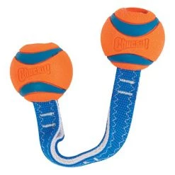 Chuckit! Ultra Duo Tug Tough Dog Toy