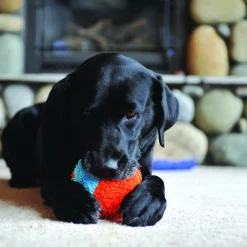 Chuckit! Indoor Shaker Dog Toy
