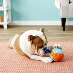 Chuckit! Indoor Shaker Dog Toy -Cheap Petmate Store 64798 PT3. SY630 V1530911365