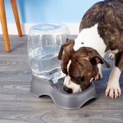 Petmate Pearl Pet Cafe Waterer -Cheap Petmate Store 68452 PT8. SY630 V1540309962