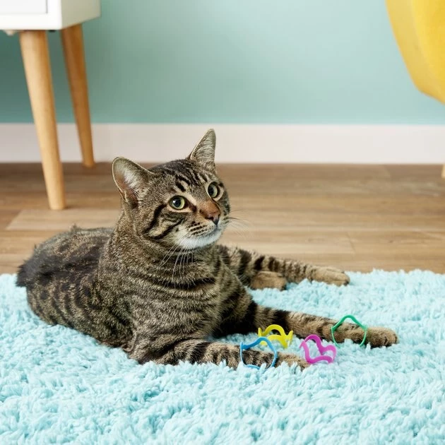 Fat Cat Crazies Playrings Cat Toy 6 Fat Cat Crazies Playrings Cat Toy - Image 4