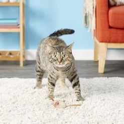 Fat Cat Eeeks! Cat Toy with Catnip, Color Varies 11 Fat Cat Eeeks! Cat Toy with Catnip, Color Varies -Cheap Petmate Store 68613 PT5. SY630 V1525718689