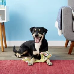 Fat Cat Incredible Strapping Flip-Flop Yankers Squeaky Dog Toy -Cheap Petmate Store 68617 PT2. SY630 V1545172197