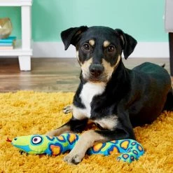 Fat Cat Incredible Strapping Yankers Snake Squeaky Dog Toy, Color Varies -Cheap Petmate Store 70569 PT2. SY630 V1530544752