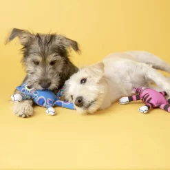 Fat Cat Mini Terrible Nasty Scaries Squeaky Dog Toy, Character Varies 10 Fat Cat Mini Terrible Nasty Scaries Squeaky Dog Toy, Character Varies -Cheap Petmate Store 70571 PT2. SY630 V1602336961