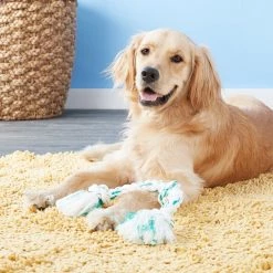 Booda Fresh N Floss Spearmint 3-Knot Rope Dog Toy 7 Booda Fresh N Floss Spearmint 3-Knot Rope Dog Toy -Cheap Petmate Store 70577 PT2. SY630 V1530544773