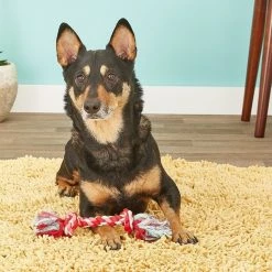 Booda Multi Color 2-Knot Rope Dog Toy, -Cheap Petmate Store 70594 PT3. SY630 V1545172488