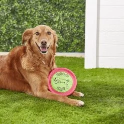 Booda Soft Bite Tail Spin Flyer Flying Disc Dog Toy, Color Varies 12 Booda Soft Bite Tail Spin Flyer Flying Disc Dog Toy, Color Varies -Cheap Petmate Store 70598 PT4. SY630 V1530911660