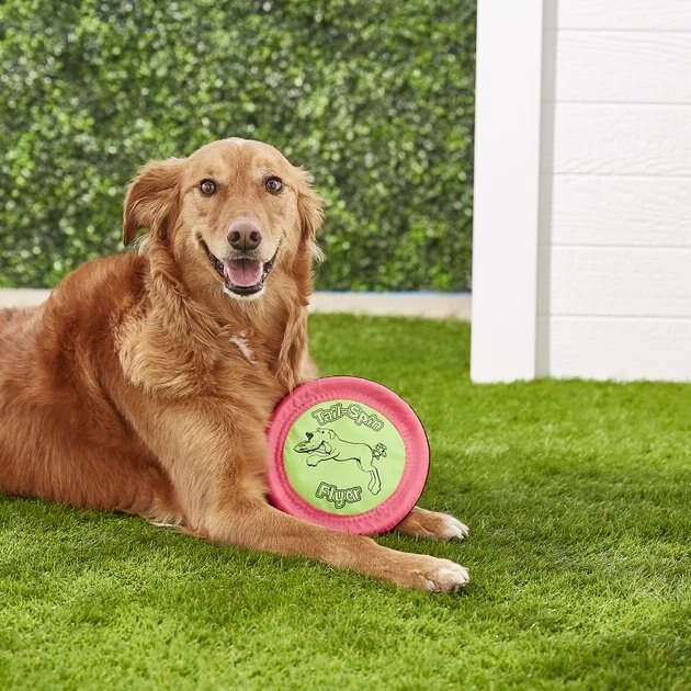 Booda Soft Bite Tail Spin Flyer Flying Disc Dog Toy, Color Varies 7 Booda Soft Bite Tail Spin Flyer Flying Disc Dog Toy, Color Varies - Image 5