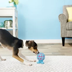 JW Pet Hol-ee Cuz Dog Toy, Color Varies -Cheap Petmate Store 70983 PT6. SY630 V1548969759