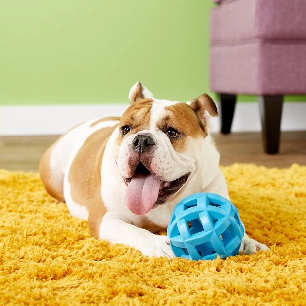 JW Pet Hol-ee Roller X Extreme Dog Toy 4 JW Pet Hol-ee Roller X Extreme Dog Toy - Image 2