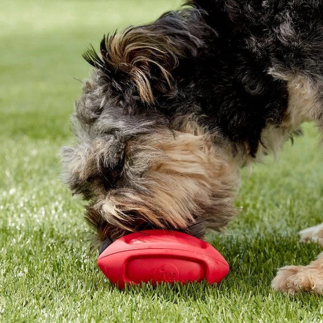 JW Pet iSqueak Funble Football Dog Toy, Color Varies 4 JW Pet iSqueak Funble Football Dog Toy, Color Varies - Image 2