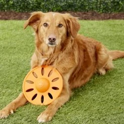 JW Pet Whirlwheel Flying Disk Dog Toy, Color Varies -Cheap Petmate Store 71070 PT4. SY630 V1531508852