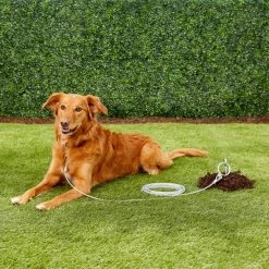 Aspen Pet Large Tie-Out Cable -Cheap Petmate Store 71082 PT8. SY630 V1522243098