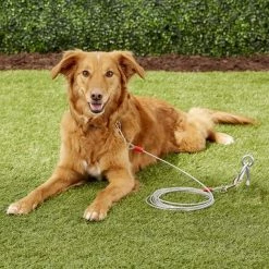 Aspen Pet Medium Tie-Out Cable -Cheap Petmate Store 71086 PT8. SY630 V1522176545