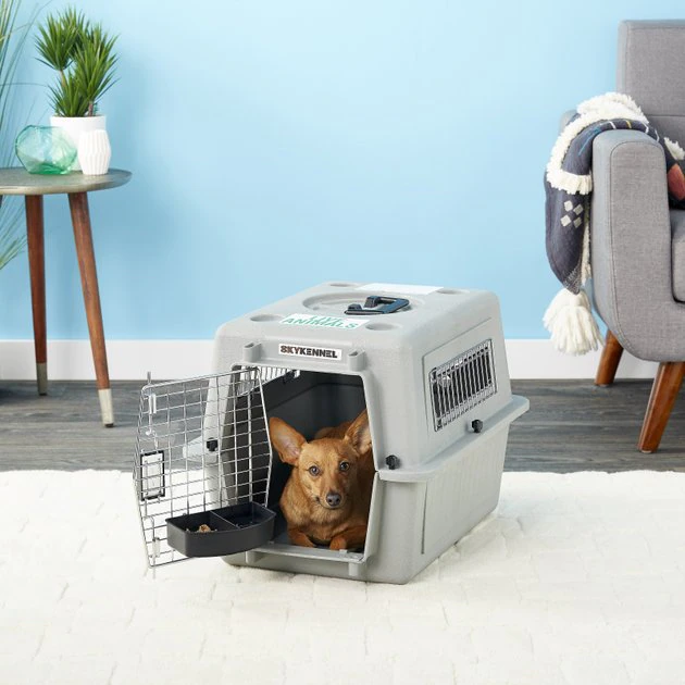 Petmate Sky Dog & Cat Kennel 3 Petmate Sky Dog & Cat Kennel