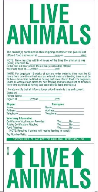 Petmate Sky Dog & Cat Kennel 9 Petmate Sky Dog & Cat Kennel - Image 7