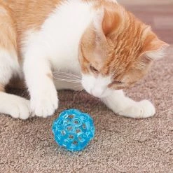 JW Pet Cataction Lattice Ball Cat Toy -Cheap Petmate Store 73715 PT5. SY630 V1525718983
