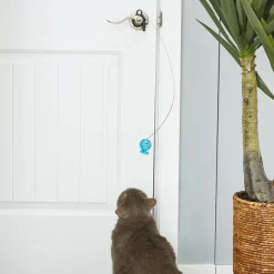 JW Pet Cataction Door Knob Teaser with Lattice Cuz Cat Toy 8 JW Pet Cataction Door Knob Teaser with Lattice Cuz Cat Toy -Cheap Petmate Store 73727 PT5. SY630 V1525719018