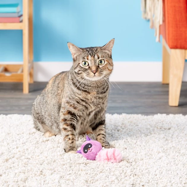 JW Pet Cataction Plush Raccoon with Catnip Cat Toy 6 JW Pet Cataction Plush Raccoon with Catnip Cat Toy - Image 4