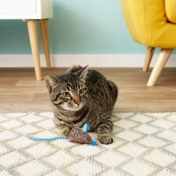 JW Pet Cataction Mouse Cat Toy -Cheap Petmate Store 80960 PT5. SY630 V1525719462