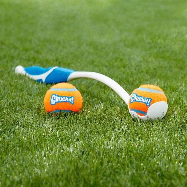 Chuckit! Double Pack Dog Tennis Ball Dog Toy 4 Chuckit! Double Pack Dog Tennis Ball Dog Toy - Image 2