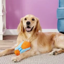 Chuckit! Indoor Fumbler Dog Toy -Cheap Petmate Store 80976 PT2. SY630 V1545175375