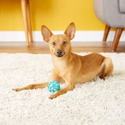 JW Pet ProTEN Hol-ee Roller Dog Toy -Cheap Petmate Store 81082 PT2. SY630 V1531518749