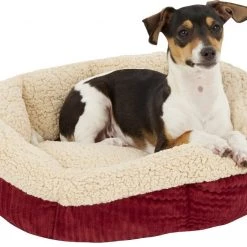 Aspen Pet Self-Warming Bolster Cat & Dog Bed, Warm Spice/Cream -Cheap Petmate Store 83889 PT3. SY630 V1566315440