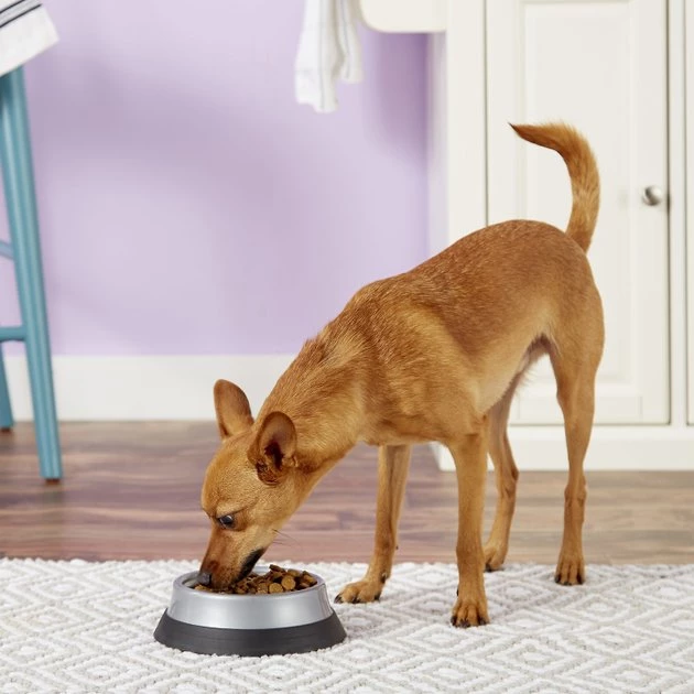 JW Pet Skid Stop Heavyweight Pet Bowls, Color Varies 4 JW Pet Skid Stop Heavyweight Pet Bowls, Color Varies - Image 2