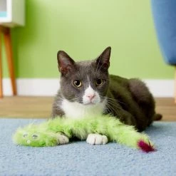 JW Pet Cataction Featherlite Catnip Boa Squeaking Cat Toy, Color Varies -Cheap Petmate Store 83999 PT5. SY630 V1525718004