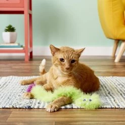 JW Pet Cataction Featherlite Catnip Boa Squeaking Cat Toy, Color Varies -Cheap Petmate Store 83999 PT6. SY630 V1527256435